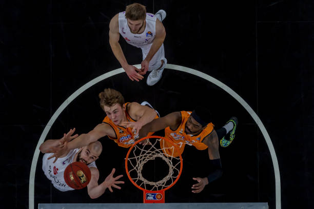 自由绽放 自由绽放