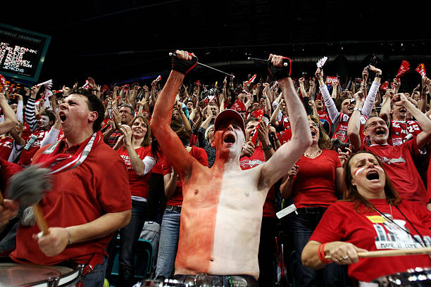 用的综合性 用的综合性